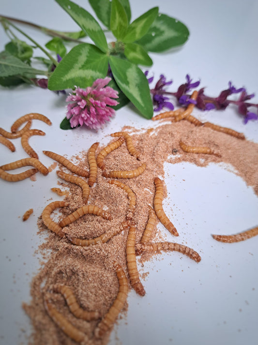 Was ist ein Bio-Chitin-Dünger?