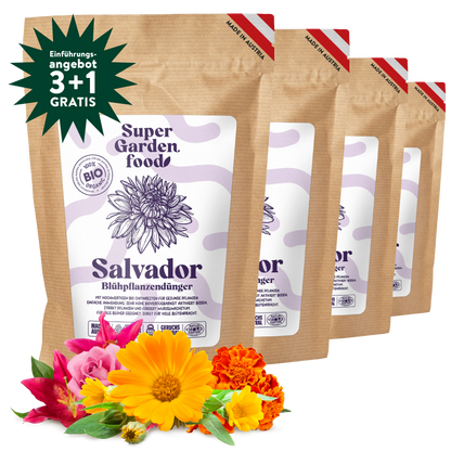 Blühpflanzendünger Salvador 3kg + 1kg Gratis