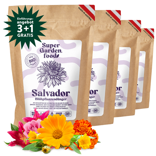 Blühpflanzendünger Salvador 3kg + 1kg Gratis