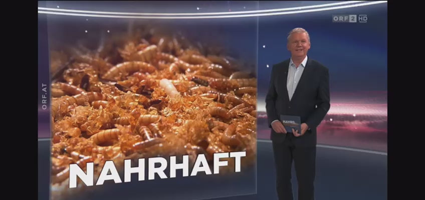 Video laden: Orf Video Mehlwurmdünger